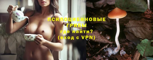 кристаллы Няндома
