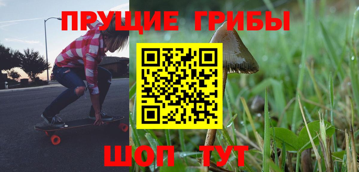 Галлюциногенные грибы GOLDEN TEACHER  Вход с VPN  Ногинск 