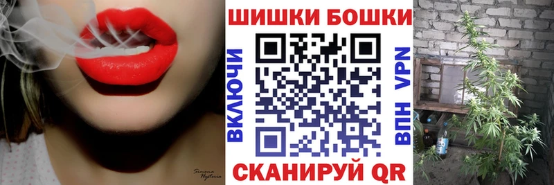 Каннабис сатива  сколько стоит  Ногинск 